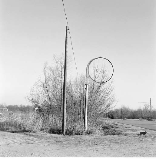 empty_circle_&_dog copy