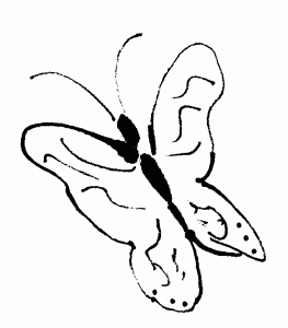 Butterfly Drawing by Jim Crump