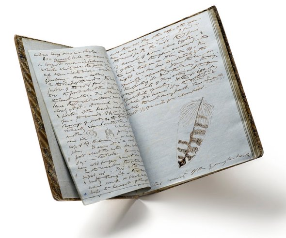 03THOREAUJP2-master675-v2